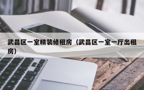 武昌区一室精装修租房（武昌区一室一厅出租房）