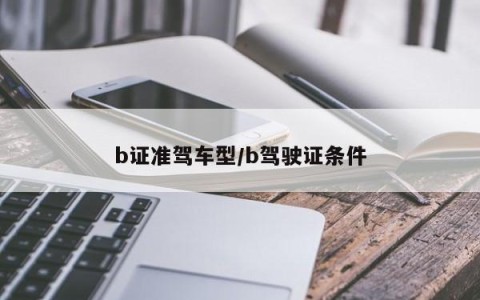 b证准驾车型/b驾驶证条件