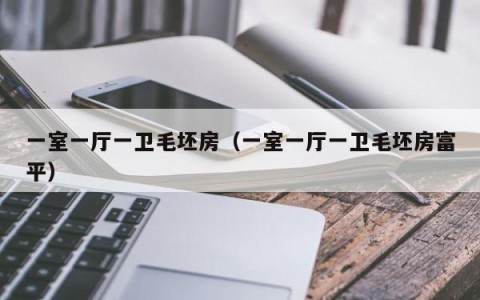 一室一厅一卫毛坯房（一室一厅一卫毛坯房富平）
