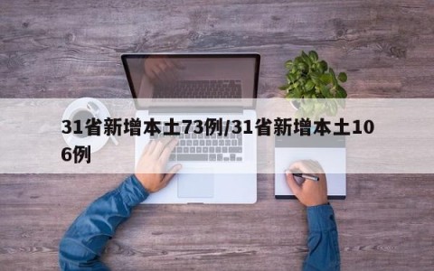 31省新增本土73例/31省新增本土106例