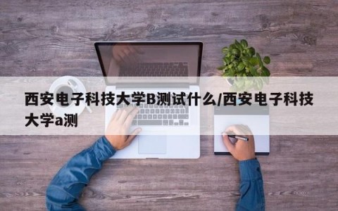 西安电子科技大学B测试什么/西安电子科技大学a测
